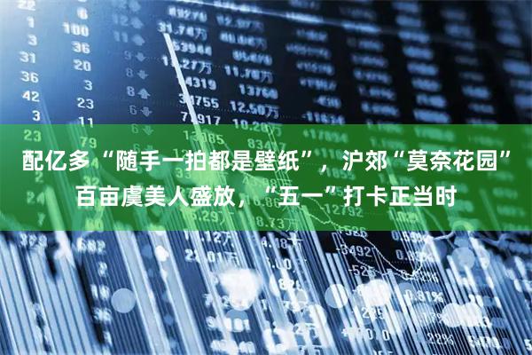 配亿多 “随手一拍都是壁纸”，沪郊“莫奈花园”百亩虞美人盛放，“五一”打卡正当时